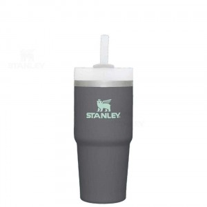 14 OZ Stanley The Quencher H2.0 FlowState™ | Italia S1894