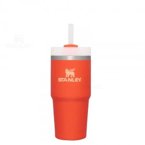 14 OZ Stanley The Quencher H2.0 FlowState™ | Italia S1817