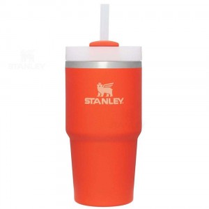 20 OZ Stanley The Quencher H2.0 FlowState™ | Italia S1360