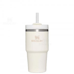 20 OZ Stanley The Quencher H2.0 FlowState™ | Italia S1507