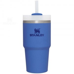 20 OZ Stanley The Quencher H2.0 FlowState™ | Italia S1070