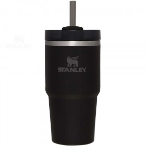 20 OZ Stanley The Quencher H2.0 FlowState™ | Italia S2145