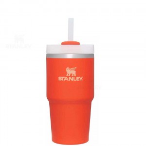 20 OZ Stanley The Quencher H2.0 FlowState™ | Italia S1354