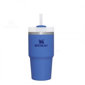 20 OZ Stanley The Quencher H2.0 FlowState™ | Italia S1277