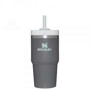20 OZ Stanley The Quencher H2.0 FlowState™ | Italia S1721
