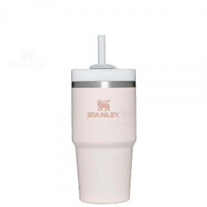 20 OZ Stanley The Quencher H2.0 FlowState™ | Italia S1551