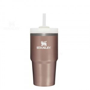20 OZ Stanley The Quencher H2.0 FlowState™ | Italia S2257