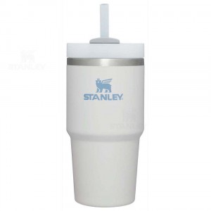 20 OZ Stanley The Quencher H2.0 FlowState™ | Italia S1139