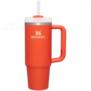 30 OZ Stanley The Quencher H2.0 FlowState™ | Italia S1764