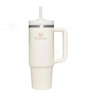 30 OZ Stanley The Quencher H2.0 FlowState™ | Italia S2157