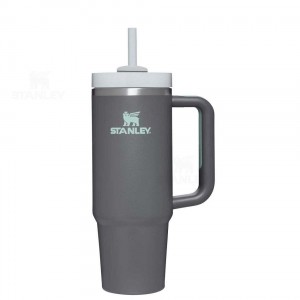 30 OZ Stanley The Quencher H2.0 FlowState™ | Italia S1888