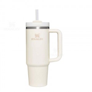 30 OZ Stanley The Quencher H2.0 FlowState™ | Italia S1374
