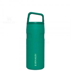 Bottiglie d'acqua Stanley IceFlow™ AeroLight™ with Cap and Carry+ Lid | 16 OZ | Italia S1405