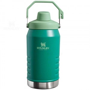 Bottiglie d'acqua Stanley IceFlow™ Jug with Fast Flow Lid | 64 OZ | Italia S1598
