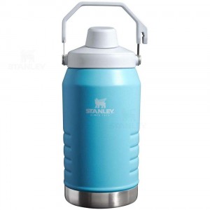 Bottiglie d'acqua Stanley IceFlow™ Jug with Fast Flow Lid | 64 OZ | Italia S1215