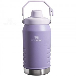 Bottiglie d'acqua Stanley IceFlow™ Jug with Fast Flow Lid | 64 OZ | Italia S1400