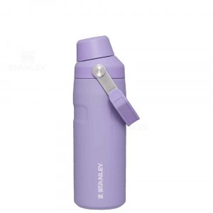 Bottiglie d'acqua Stanley IceFlow™ with Fast Flow Lid | 16 OZ | Italia S2397