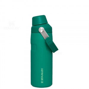 Bottiglie d'acqua Stanley IceFlow™ with Fast Flow Lid | 16 OZ | Italia S1339