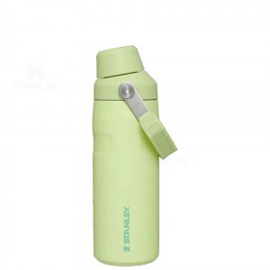 Bottiglie d'acqua Stanley IceFlow™ with Fast Flow Lid | 16 OZ | Italia S1481