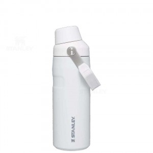 Bottiglie d'acqua Stanley IceFlow™ with Fast Flow Lid | 16 OZ | Italia S2184
