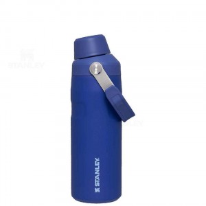 Bottiglie d'acqua Stanley IceFlow™ with Fast Flow Lid | 16 OZ | Italia S1929