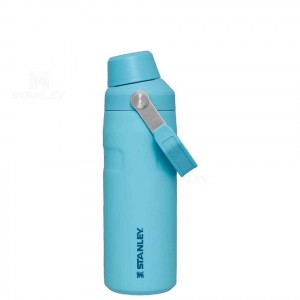 Bottiglie d'acqua Stanley IceFlow™ with Fast Flow Lid | 16 OZ | Italia S2268
