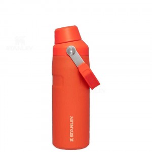 Bottiglie d'acqua Stanley IceFlow™ with Fast Flow Lid | 16 OZ | Italia S1488