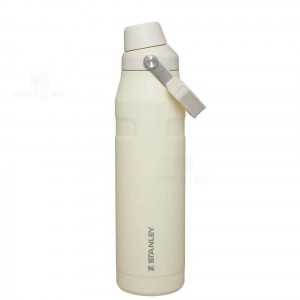 Bottiglie d'acqua Stanley IceFlow™ with Fast Flow Lid | 36 OZ | Italia S1946