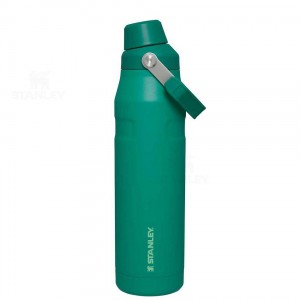 Bottiglie d'acqua Stanley IceFlow™ with Fast Flow Lid | 36 OZ | Italia S1365