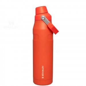 Bottiglie d'acqua Stanley IceFlow™ with Fast Flow Lid | 36 OZ | Italia S1020