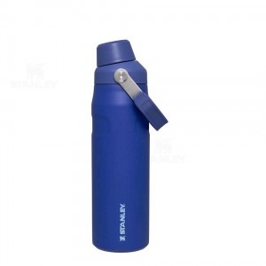 Bottiglie d'acqua Stanley IceFlow™ with Fast Flow Lid | 24 OZ | Italia S1864