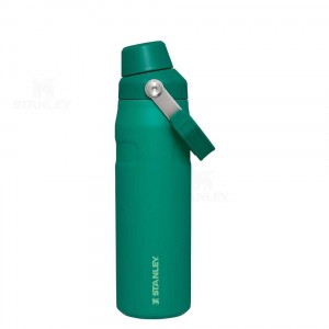 Bottiglie d'acqua Stanley IceFlow™ with Fast Flow Lid | 24 OZ | Italia S1311