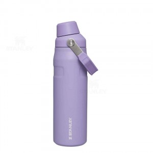 Bottiglie d'acqua Stanley IceFlow™ with Fast Flow Lid | 24 OZ | Italia S1287