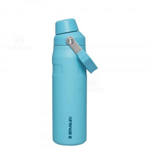 Bottiglie d'acqua Stanley IceFlow™ with Fast Flow Lid | 24 OZ | Italia S2404