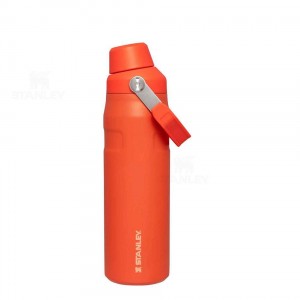 Bottiglie d'acqua Stanley IceFlow™ with Fast Flow Lid | 24 OZ | Italia S1211