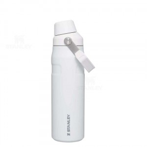 Bottiglie d'acqua Stanley IceFlow™ with Fast Flow Lid | 24 OZ | Italia S1580