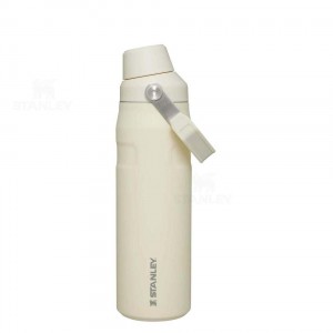 Bottiglie d'acqua Stanley IceFlow™ with Fast Flow Lid | 24 OZ | Italia S1640