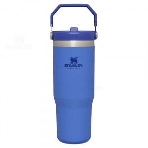 Bottiglie d'acqua Stanley The IceFlow Flip Straw | 30 OZ | Italia S2092
