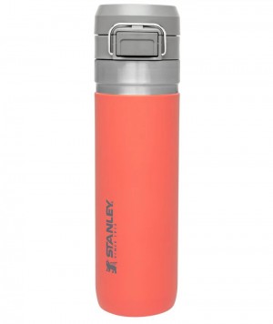 Bottiglie d'acqua Stanley The Quick Flip Go | 24 OZ | Italia S1780