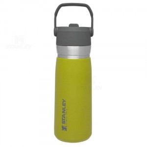 Tumblers Stanley The Go Flip Straw | 22 OZ | Italia S2005