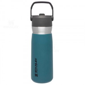 Tumblers Stanley The Go Flip Straw | 22 OZ | Italia S1860