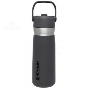 Tumblers Stanley The Go Flip Straw | 22 OZ | Italia S1843