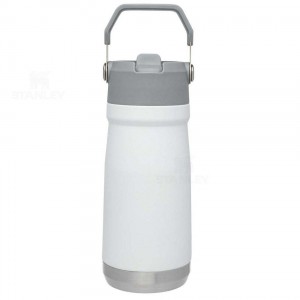 Tumblers Stanley The IceFlow Flip Straw | 17 OZ | Italia S1761