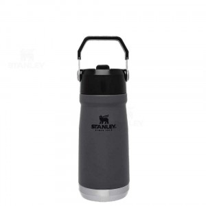 Tumblers Stanley The IceFlow Flip Straw | 17 OZ | Italia S1485
