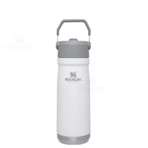 Tumblers Stanley The IceFlow Flip Straw | 22 OZ | Italia S1950