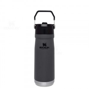 Tumblers Stanley The IceFlow Flip Straw | 22 OZ | Italia S2392