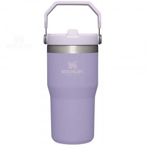 Tumblers Stanley The IceFlow Flip Straw | 20 OZ | Italia S2346
