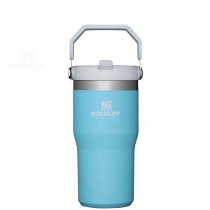 Tumblers Stanley The IceFlow Flip Straw | 20 OZ | Italia S1460