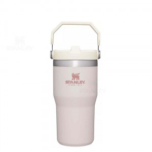 Tumblers Stanley The IceFlow Flip Straw | 20 OZ | Italia S1752