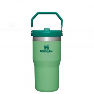 Tumblers Stanley The IceFlow Flip Straw | 20 OZ | Italia S2003